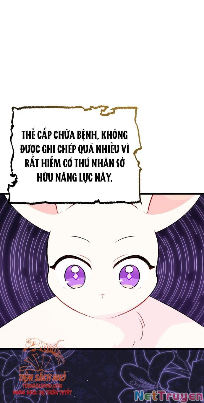 Mối Quan Hệ Cộng Sinh Giữa Báo Đen Và Thỏ Trắng: Chapter 47
