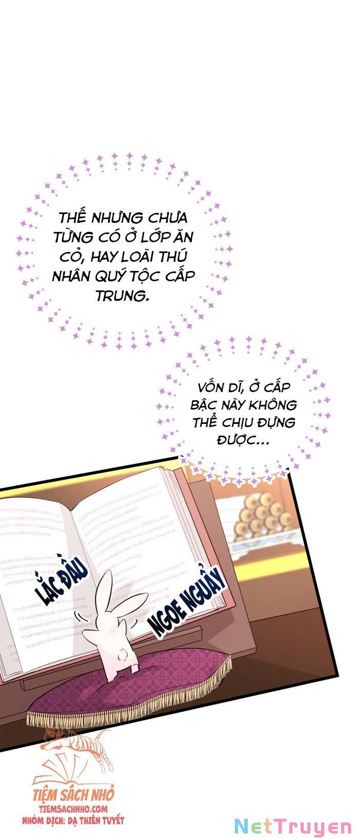 Mối Quan Hệ Cộng Sinh Giữa Báo Đen Và Thỏ Trắng: Chapter 47