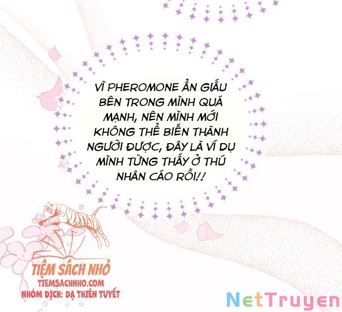 Mối Quan Hệ Cộng Sinh Giữa Báo Đen Và Thỏ Trắng: Chapter 47