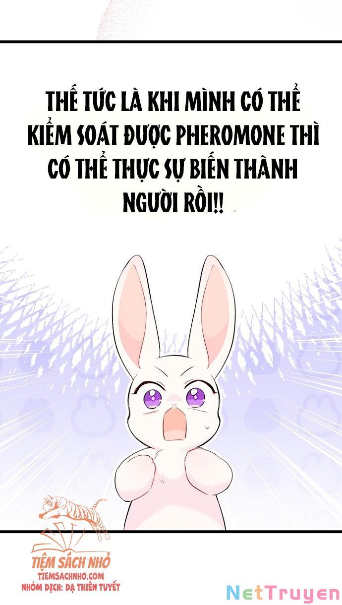 Mối Quan Hệ Cộng Sinh Giữa Báo Đen Và Thỏ Trắng: Chapter 47