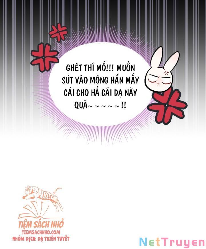 Mối Quan Hệ Cộng Sinh Giữa Báo Đen Và Thỏ Trắng: Chapter 49