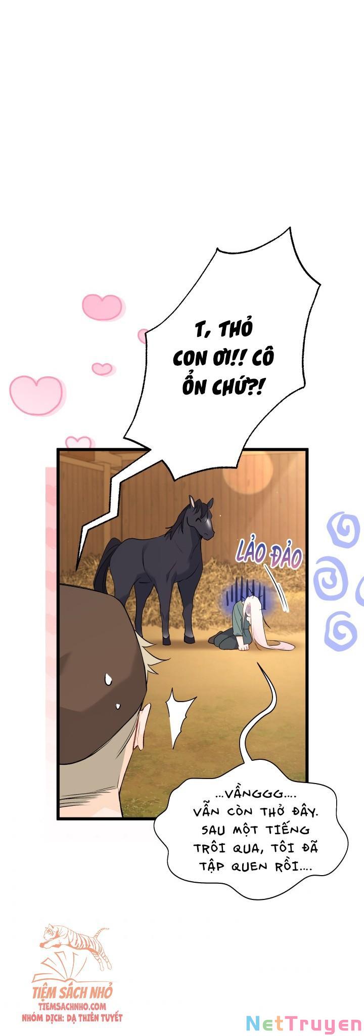 Mối Quan Hệ Cộng Sinh Giữa Báo Đen Và Thỏ Trắng: Chapter 49