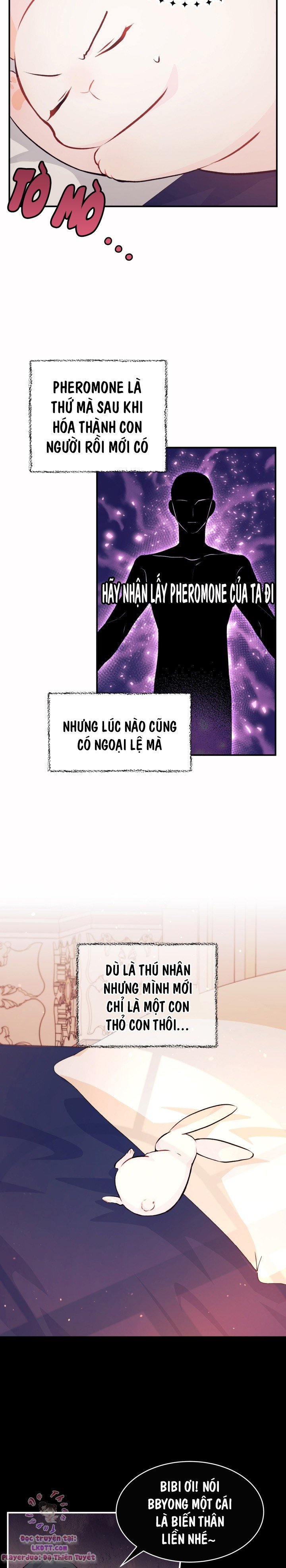 Mối Quan Hệ Cộng Sinh Giữa Báo Đen Và Thỏ Trắng: Chapter 5