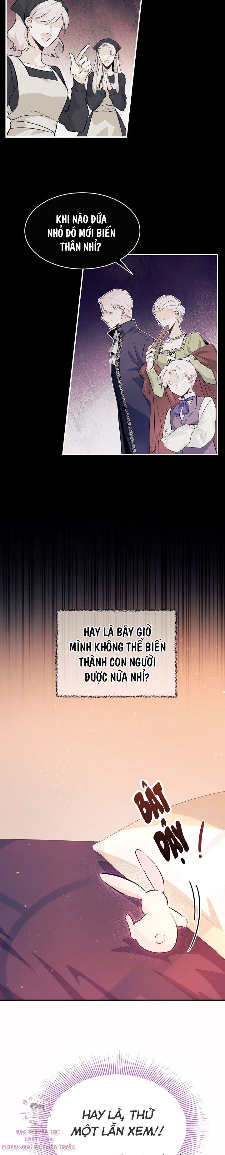 Mối Quan Hệ Cộng Sinh Giữa Báo Đen Và Thỏ Trắng: Chapter 5