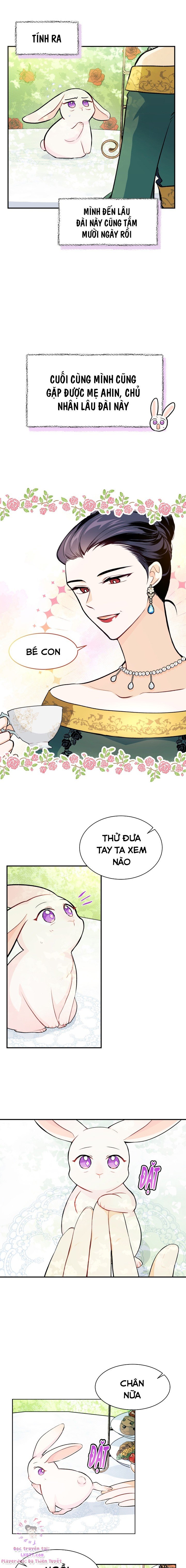 Mối Quan Hệ Cộng Sinh Giữa Báo Đen Và Thỏ Trắng: Chapter 5