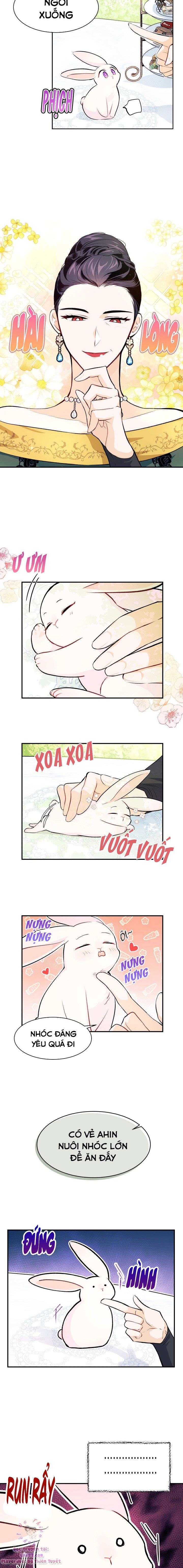 Mối Quan Hệ Cộng Sinh Giữa Báo Đen Và Thỏ Trắng: Chapter 5