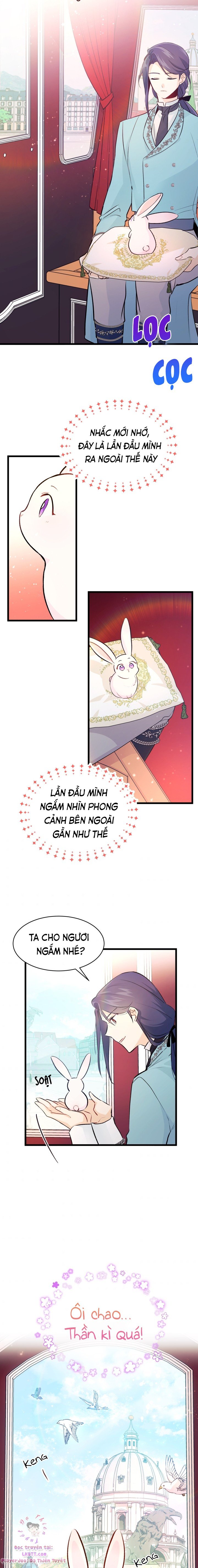 Mối Quan Hệ Cộng Sinh Giữa Báo Đen Và Thỏ Trắng: Chapter 6