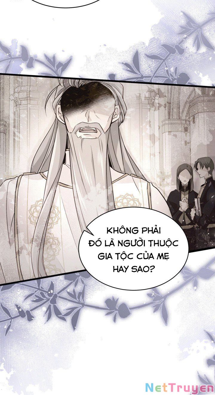 Mối Quan Hệ Cộng Sinh Giữa Báo Đen Và Thỏ Trắng: Chapter 67