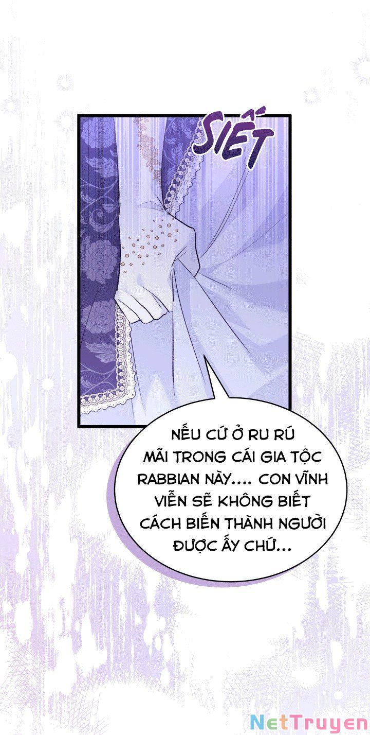 Mối Quan Hệ Cộng Sinh Giữa Báo Đen Và Thỏ Trắng: Chapter 67