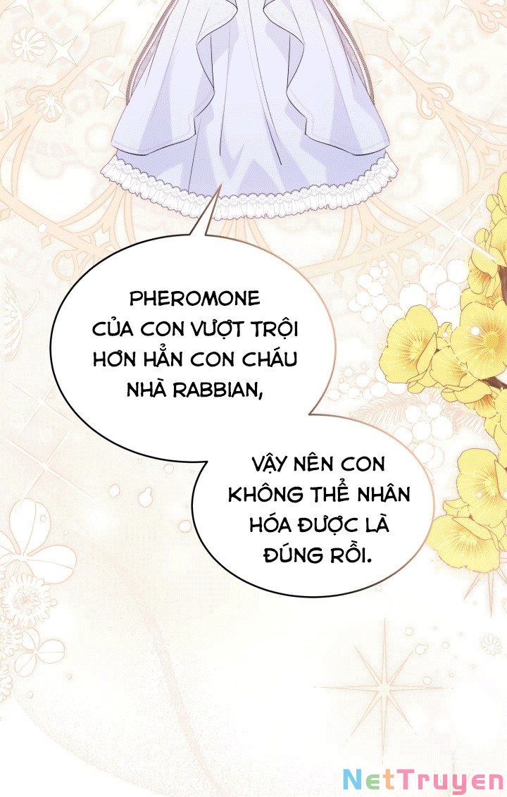 Mối Quan Hệ Cộng Sinh Giữa Báo Đen Và Thỏ Trắng: Chapter 67
