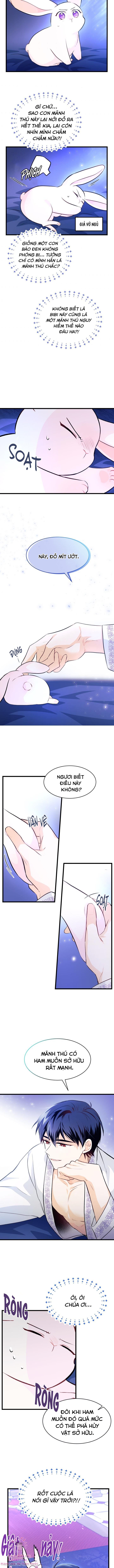 Mối Quan Hệ Cộng Sinh Giữa Báo Đen Và Thỏ Trắng: Chapter 7