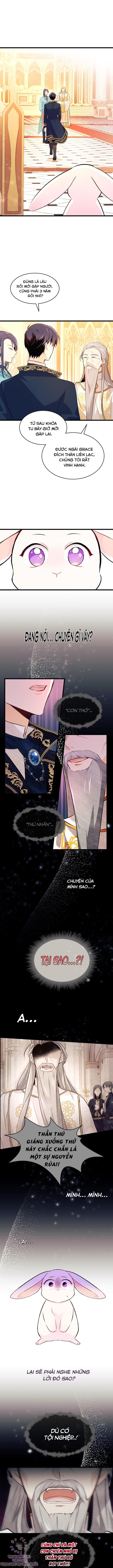 Mối Quan Hệ Cộng Sinh Giữa Báo Đen Và Thỏ Trắng: Chapter 7
