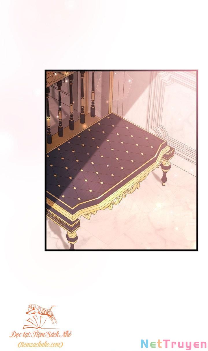 Mối Quan Hệ Cộng Sinh Giữa Báo Đen Và Thỏ Trắng: Chapter 71
