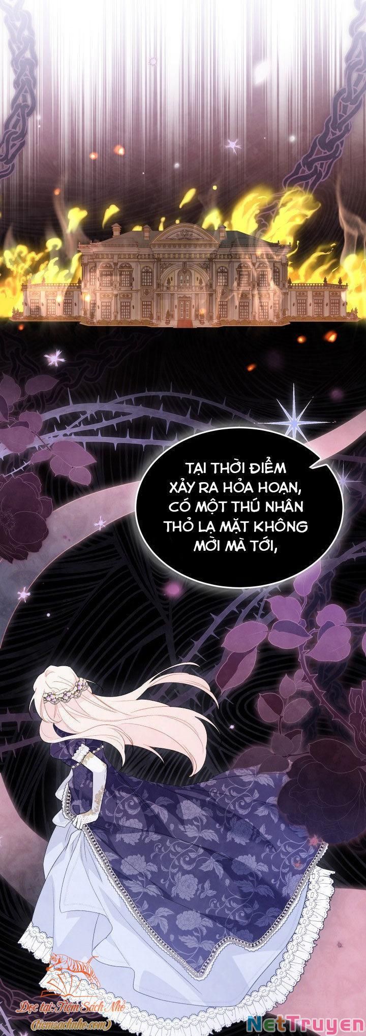 Mối Quan Hệ Cộng Sinh Giữa Báo Đen Và Thỏ Trắng: Chapter 71