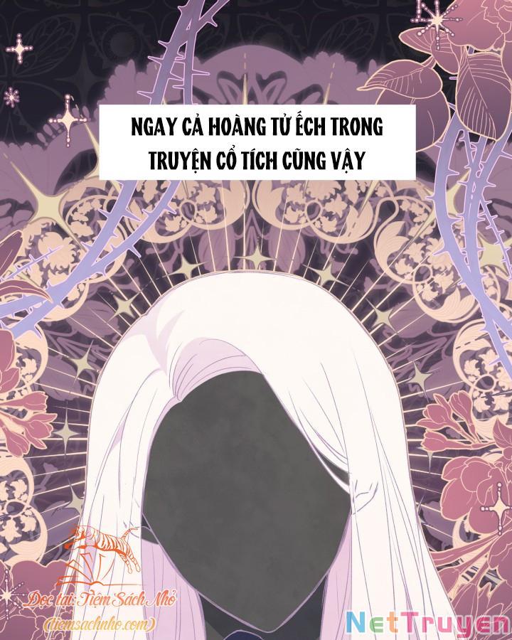 Mối Quan Hệ Cộng Sinh Giữa Báo Đen Và Thỏ Trắng: Chapter 72