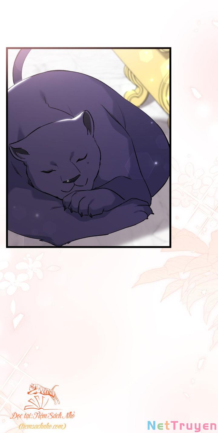 Mối Quan Hệ Cộng Sinh Giữa Báo Đen Và Thỏ Trắng: Chapter 72