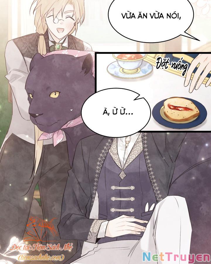 Mối Quan Hệ Cộng Sinh Giữa Báo Đen Và Thỏ Trắng: Chapter 72