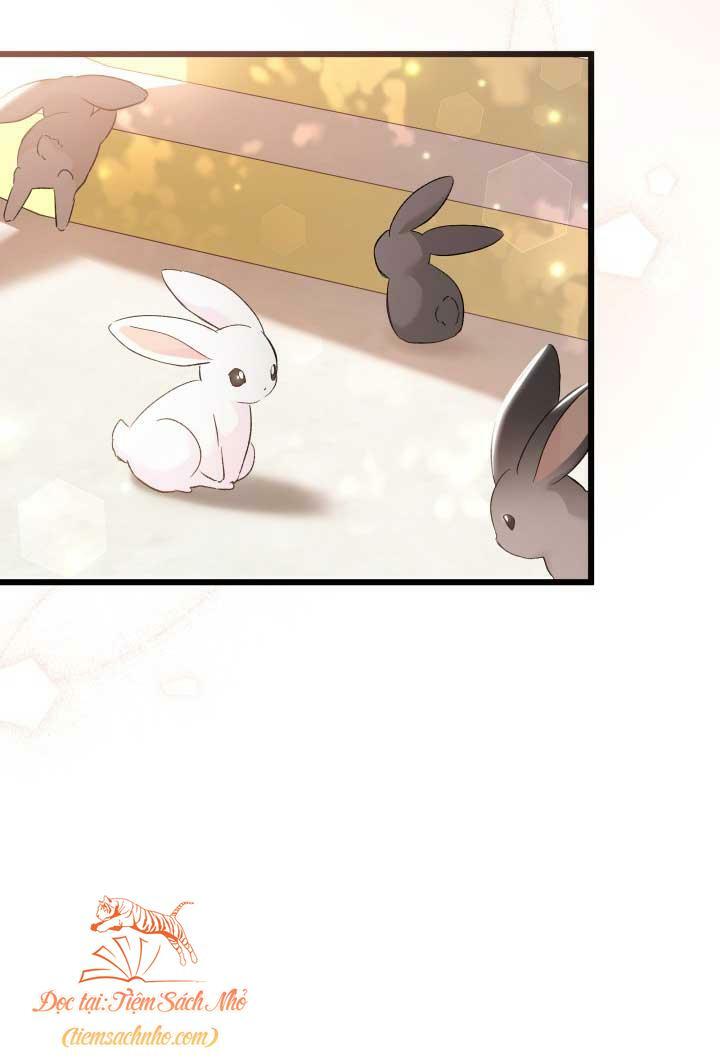 Mối Quan Hệ Cộng Sinh Giữa Báo Đen Và Thỏ Trắng: Chapter 75