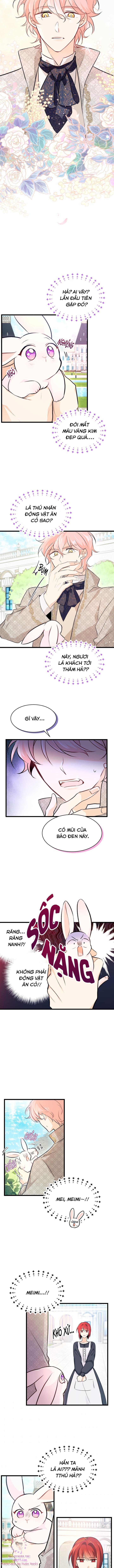 Mối Quan Hệ Cộng Sinh Giữa Báo Đen Và Thỏ Trắng: Chapter 8