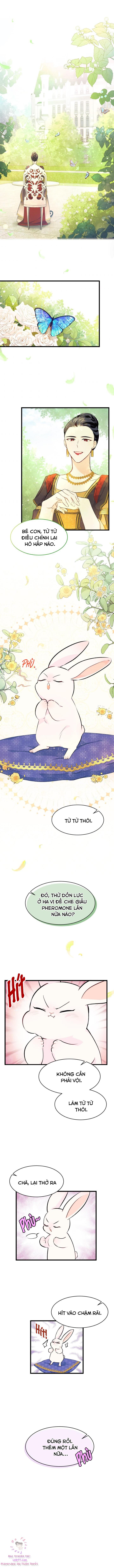 Mối Quan Hệ Cộng Sinh Giữa Báo Đen Và Thỏ Trắng: Chapter 8