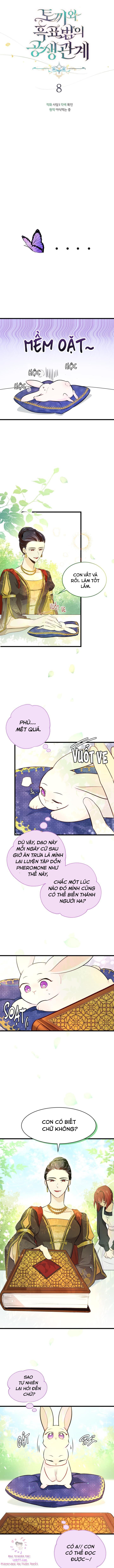 Mối Quan Hệ Cộng Sinh Giữa Báo Đen Và Thỏ Trắng: Chapter 8