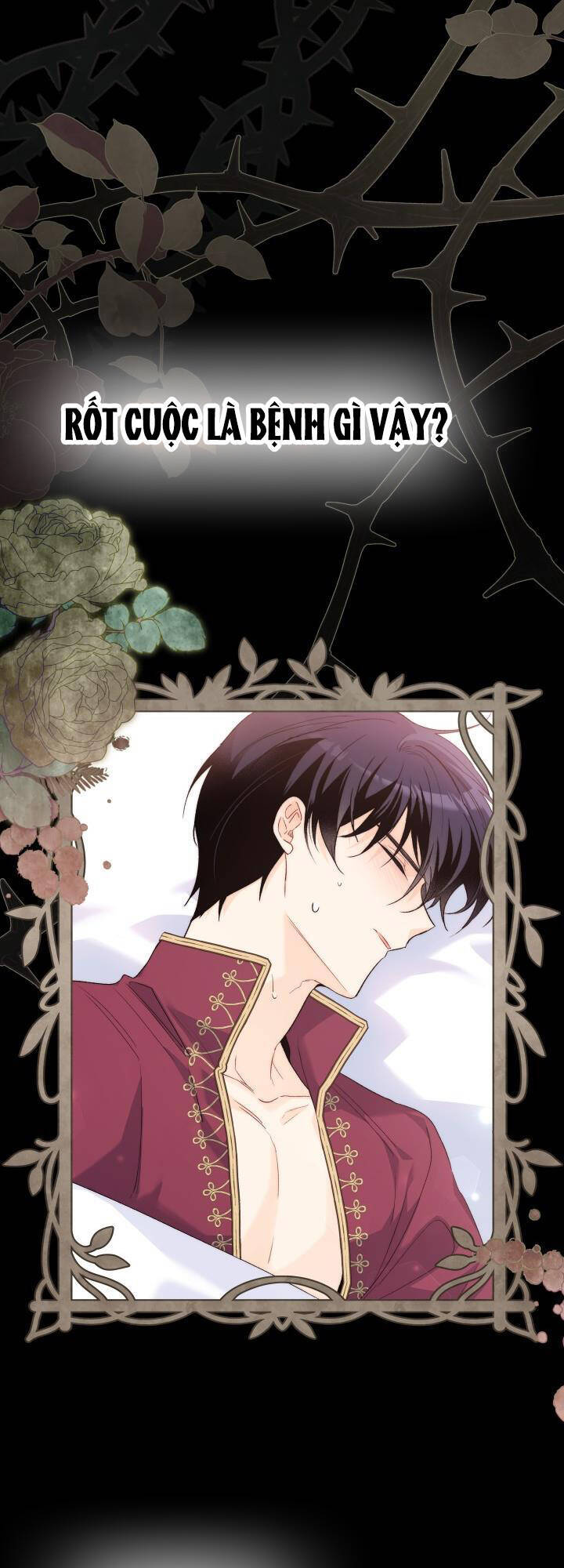 Mối Quan Hệ Cộng Sinh Giữa Báo Đen Và Thỏ Trắng: Chapter 85