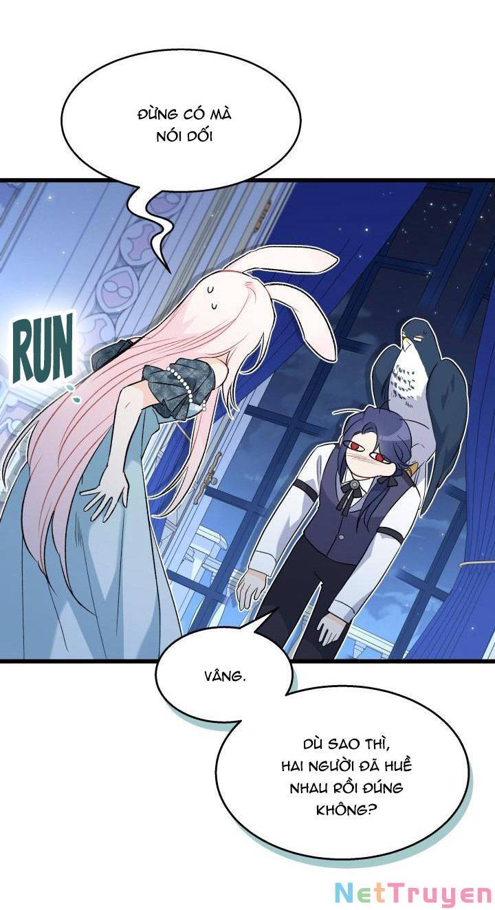 Mối Quan Hệ Cộng Sinh Giữa Báo Đen Và Thỏ Trắng: Chapter 91