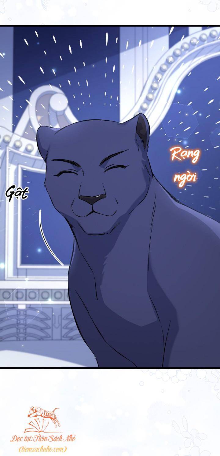 Mối Quan Hệ Cộng Sinh Giữa Báo Đen Và Thỏ Trắng: Chapter 92