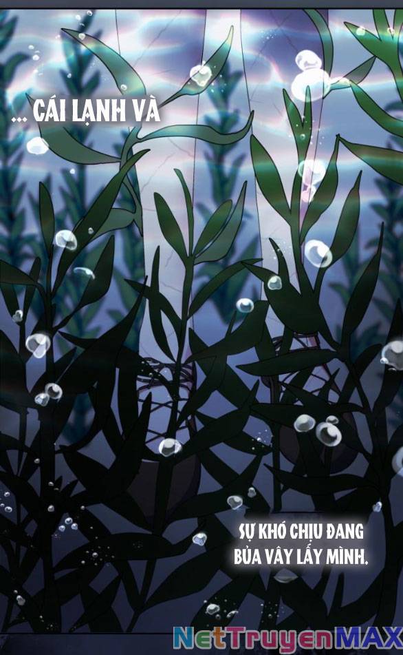 Mong Chờ Giây Phút Thiêng Liêng Được Chạm Tới Người: Chapter 48