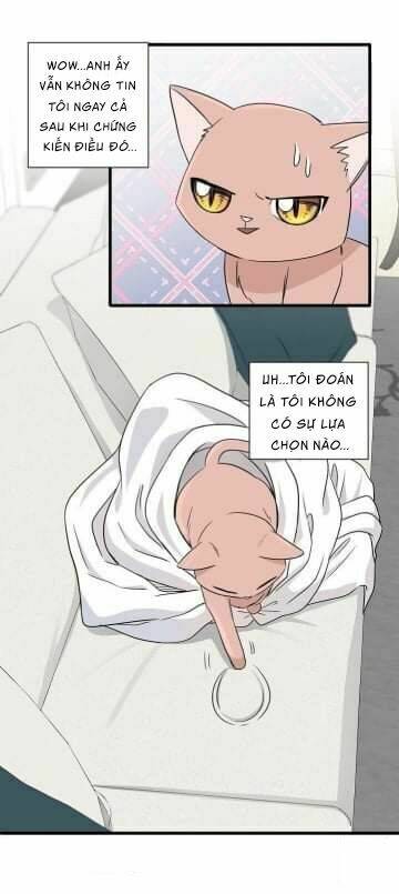 Một Cuộc Sống Kỳ Lạ: Chapter 2