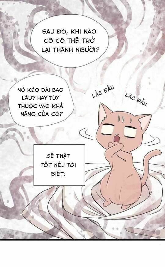 Một Cuộc Sống Kỳ Lạ: Chapter 2
