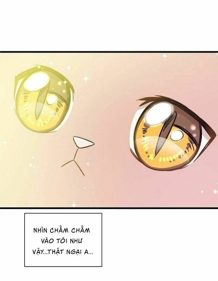 Một Cuộc Sống Kỳ Lạ: Chapter 2