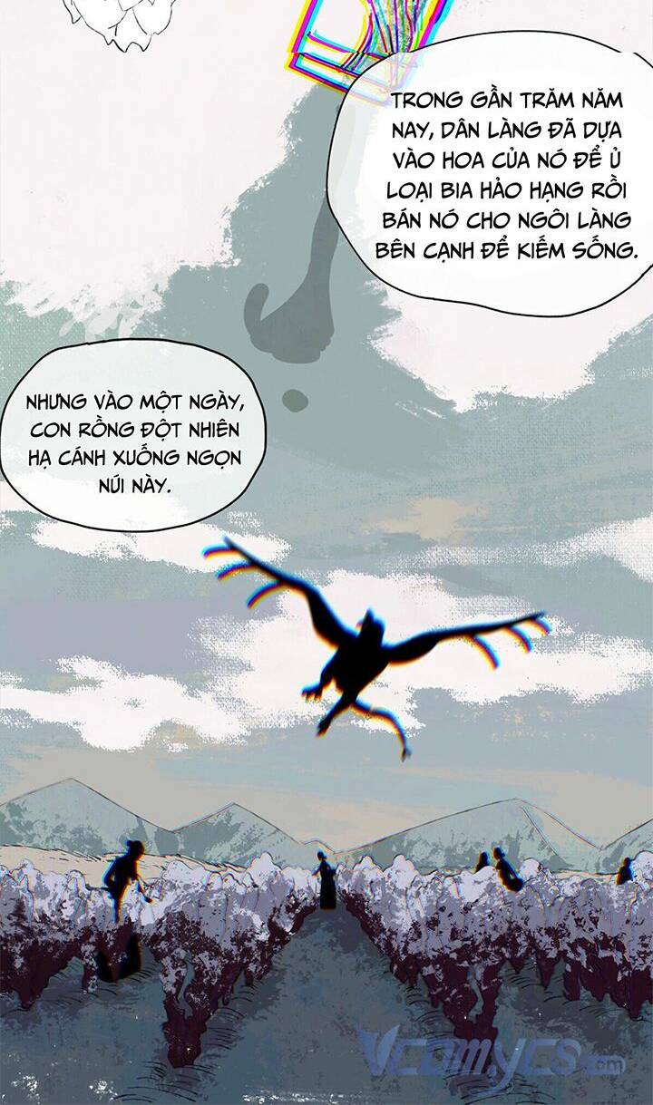 Một Ngày Nọ Tôi Nhặt Được Một Chú Rồng: Chapter 5