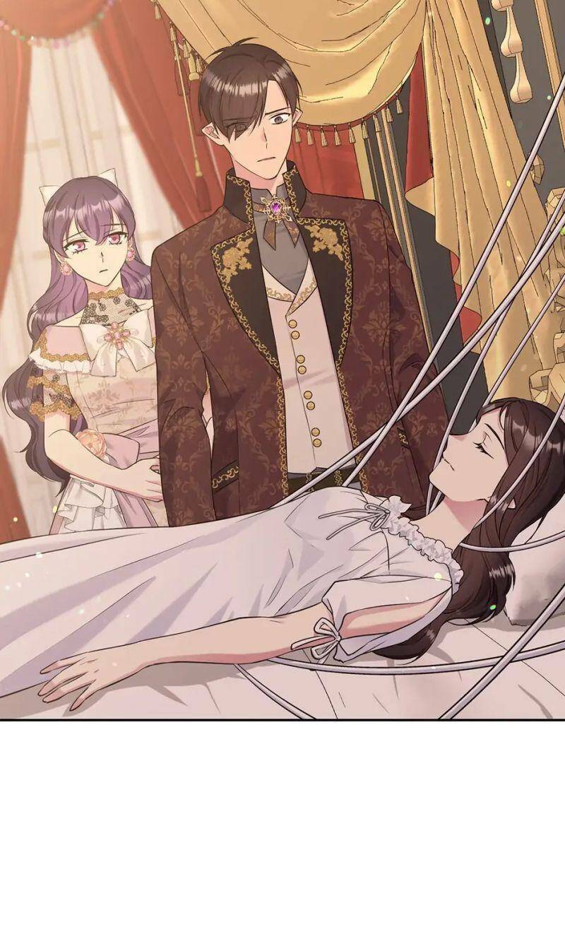 Mục Tiêu Là Cuộc Sống Hoàn Hảo Bất Khả Xâm Phạm: Chapter 96