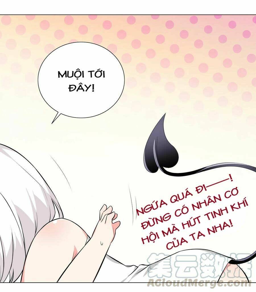 My Harem Grew So Large, I Was Forced to Ascend: Chapter 25