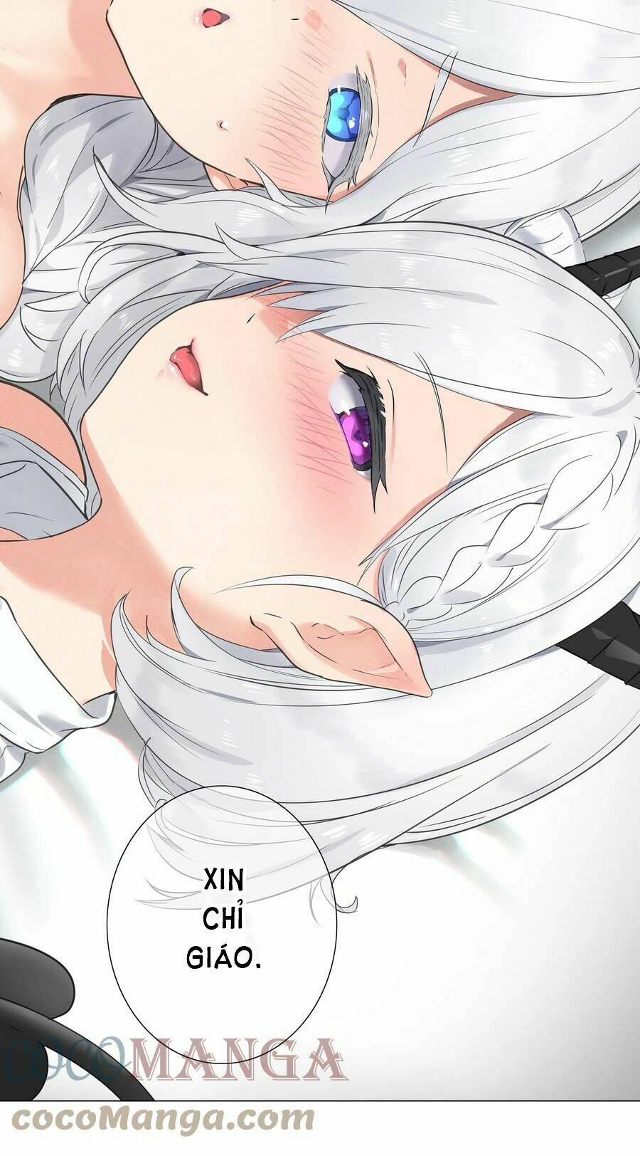 My Harem Grew So Large, I Was Forced to Ascend: Chapter 49