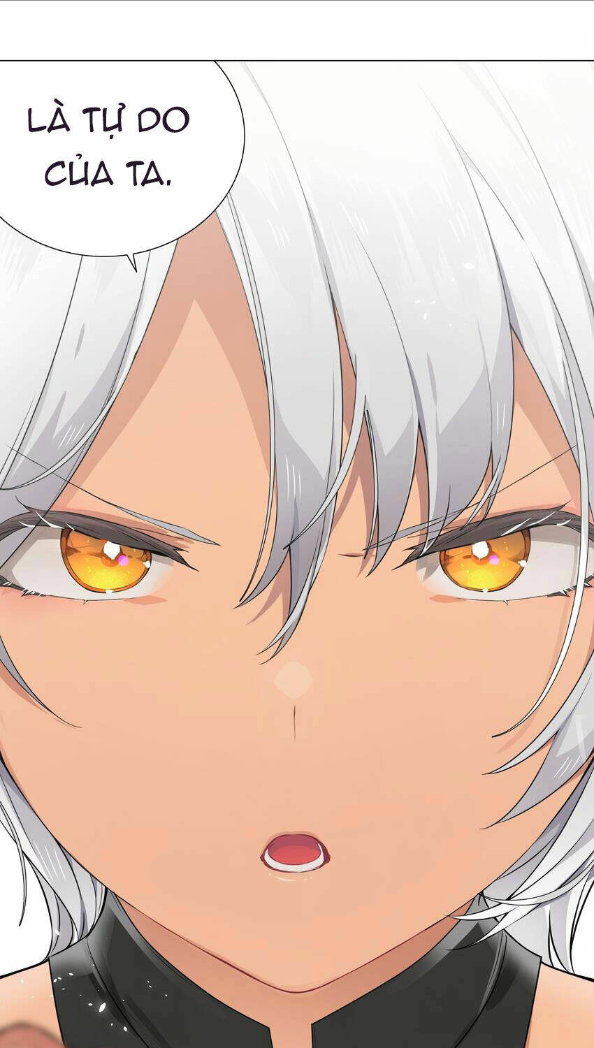My Harem Grew So Large, I Was Forced to Ascend: Chapter 67