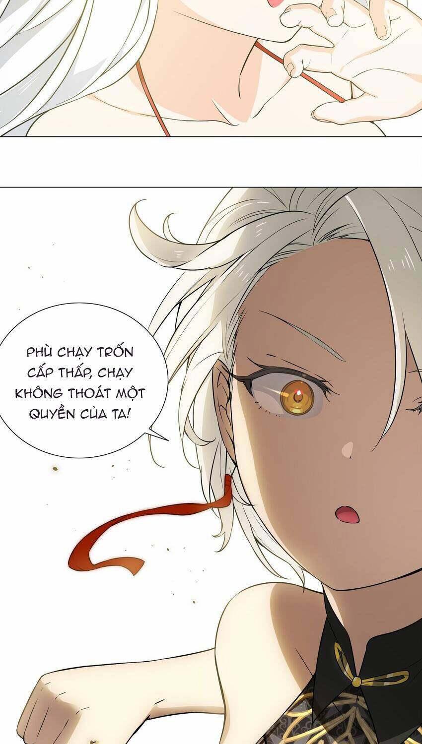 My Harem Grew So Large, I Was Forced to Ascend: Chapter 67