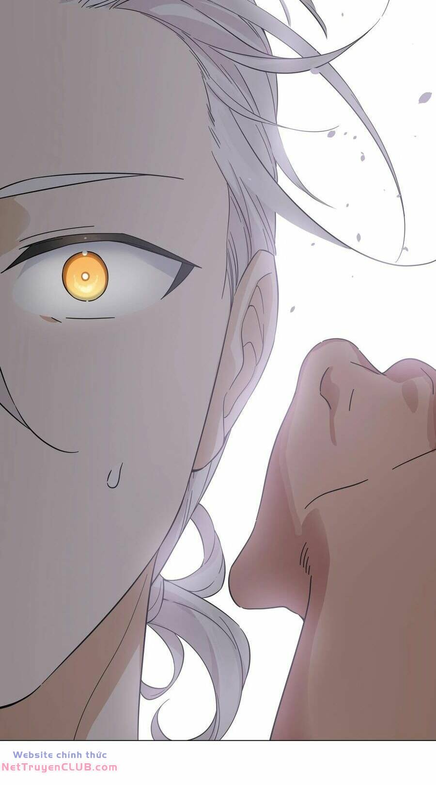 My Harem Grew So Large, I Was Forced to Ascend: Chapter 71
