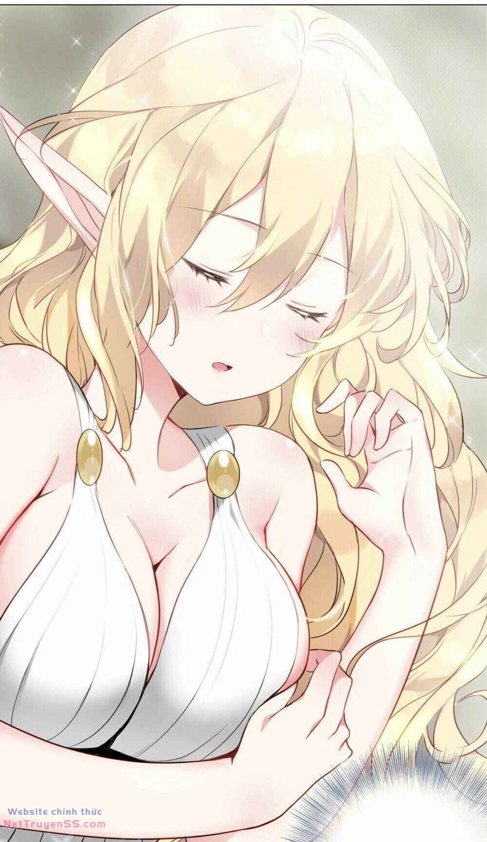 My Harem Grew So Large, I Was Forced to Ascend: Chapter 74.5