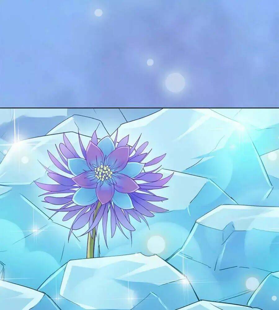 Mỹ Nhân Già Rồi: Chapter 62