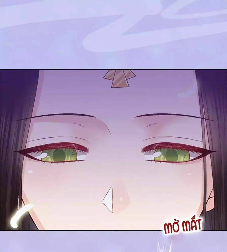 Thủ Vệ Nhất Thần: Chapter 66