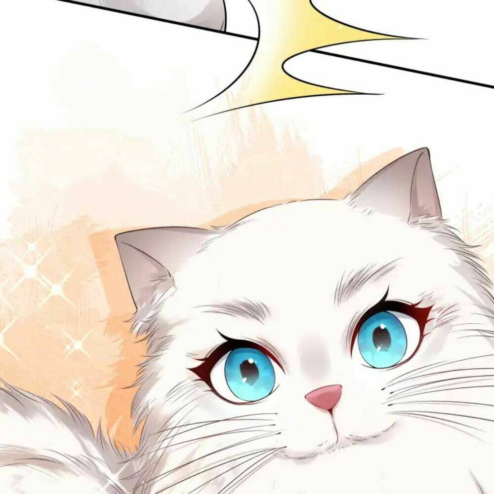 Nam Thần Ai Cũng Muốn Lấy Ta: Chapter 26