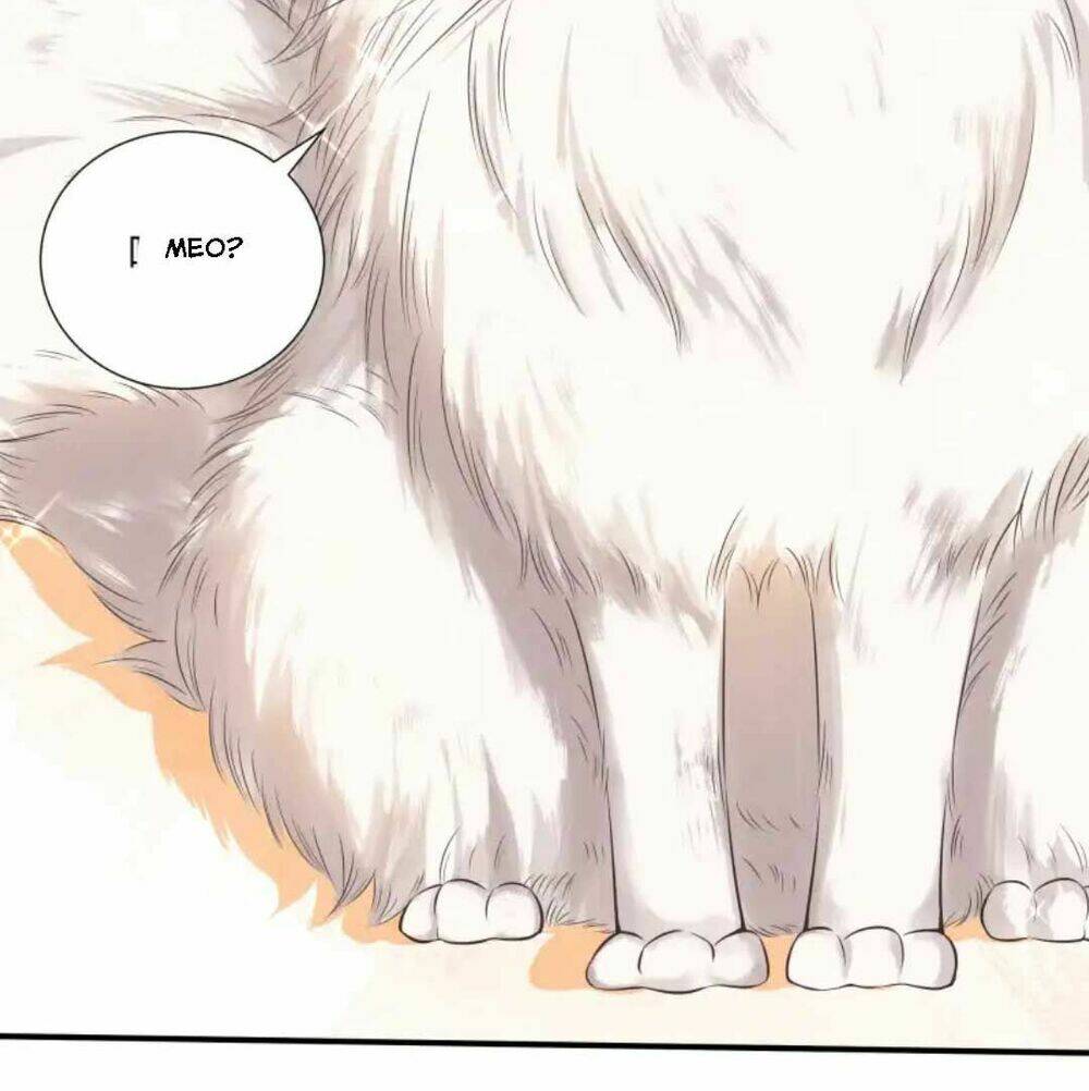 Nam Thần Ai Cũng Muốn Lấy Ta: Chapter 26