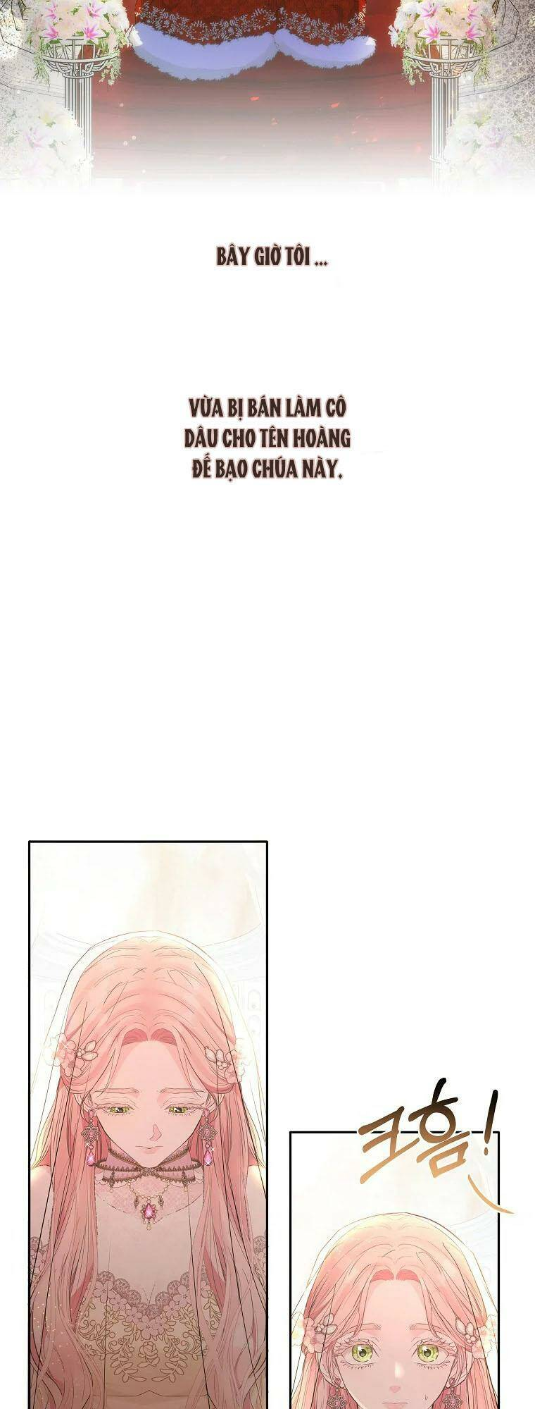 Này Người Chồng Phản Diện, Ngài Ám Ảnh Sai Người Rồi: Chapter 1