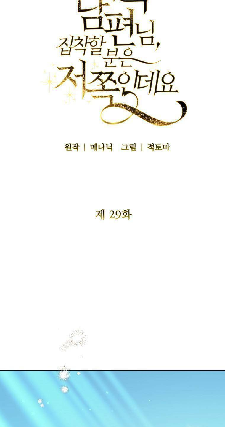 Này Người Chồng Phản Diện, Ngài Ám Ảnh Sai Người Rồi: Chapter 29