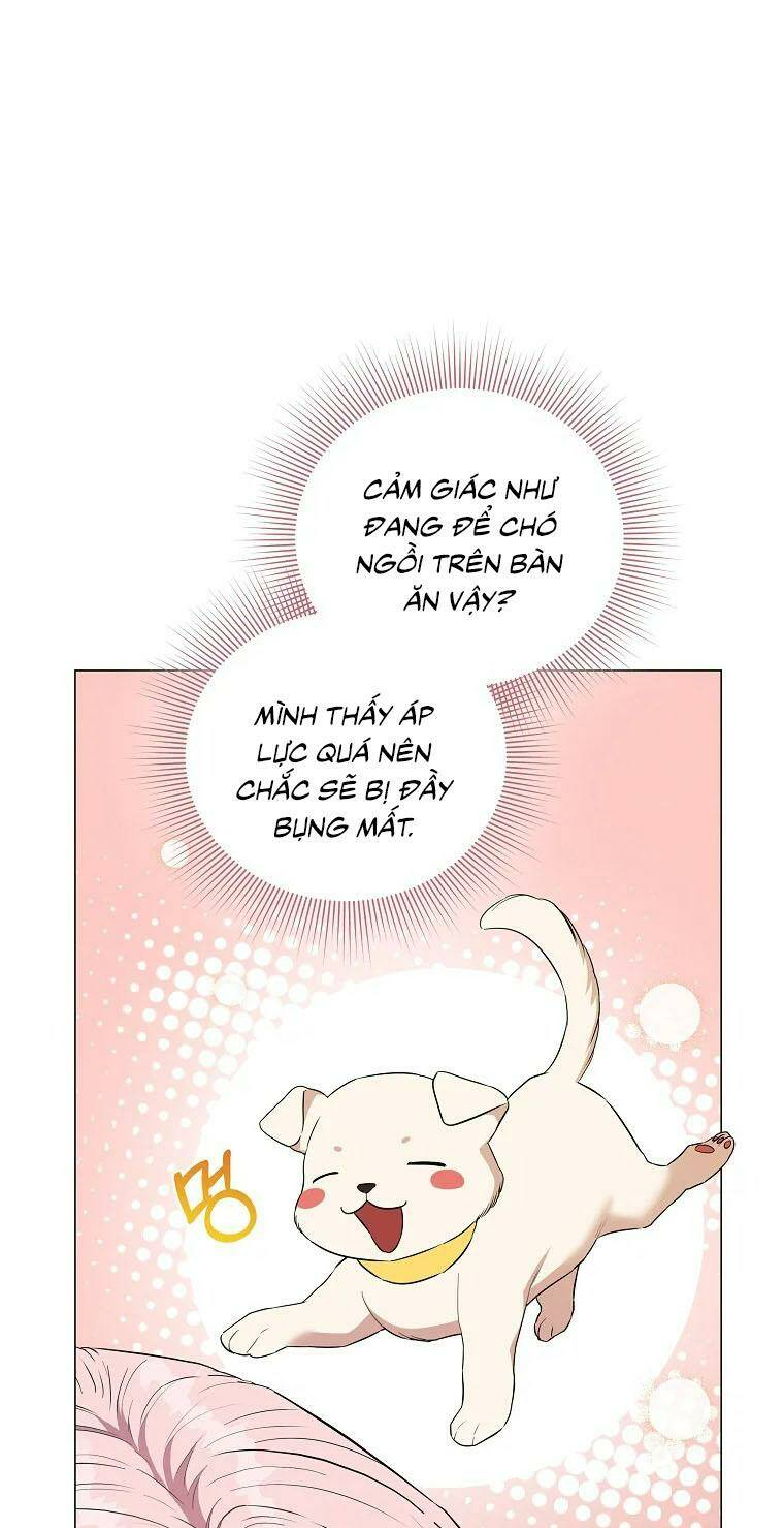 Này Người Chồng Phản Diện, Ngài Ám Ảnh Sai Người Rồi: Chapter 5