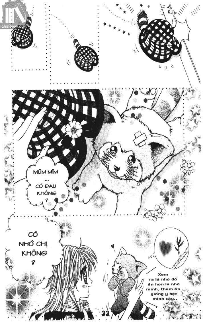 Lần Nữa Toả Sáng: Chapter 1