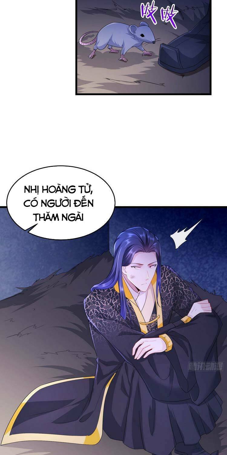 Người Ở Rể Bị Ép Thành Phản Diện: Chapter 148