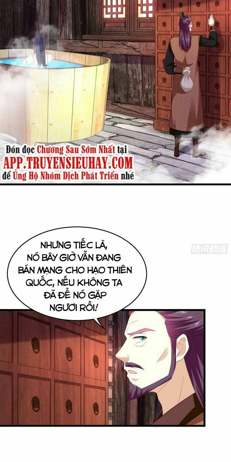 Người Ở Rể Bị Ép Thành Phản Diện: Chapter 163